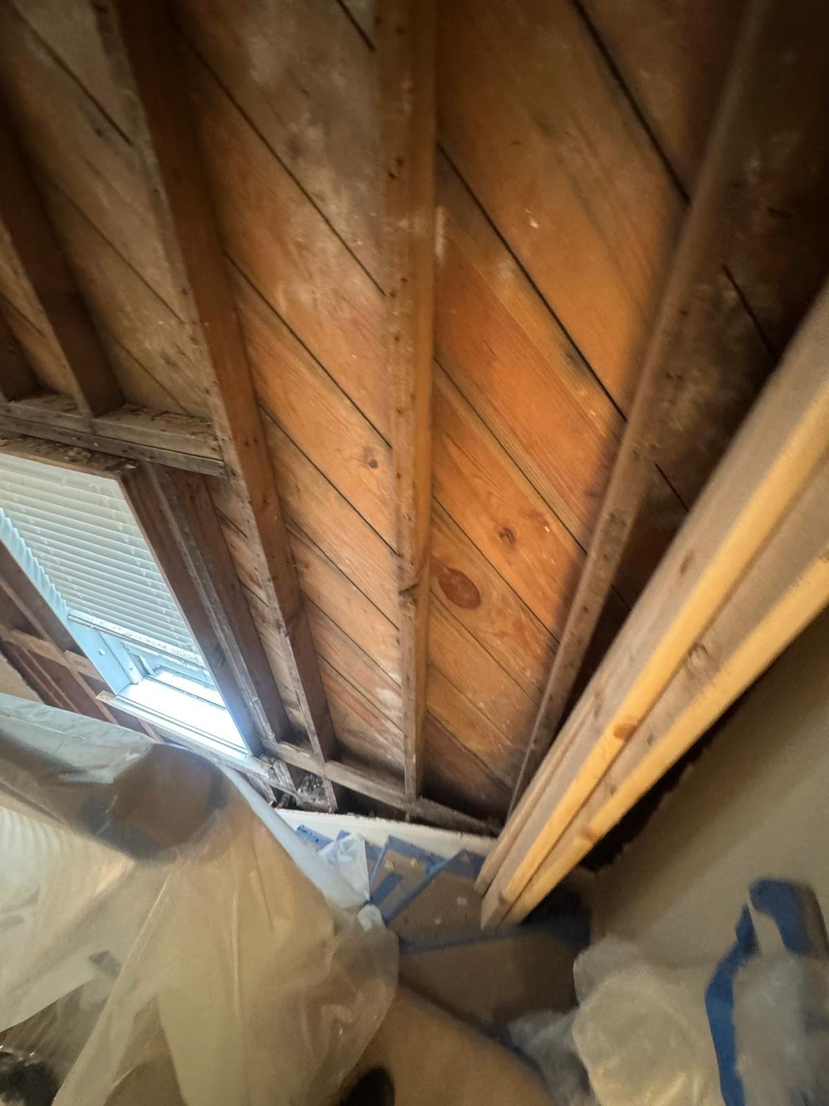 Window Installation & Replacement